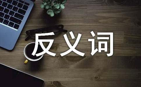 大班语言教案：反义词通用15篇