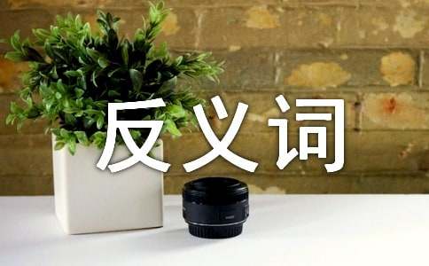 送的反义词