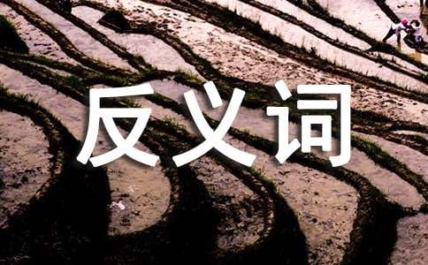 关于舒服的反义词