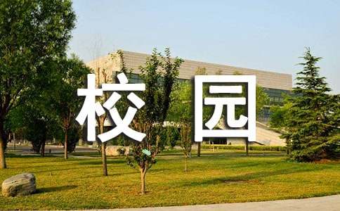 乡镇校园安全工作汇报（精选31篇）