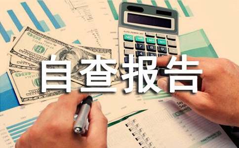 资金管理情况自查报告