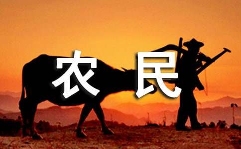 建立健全“四个机制” 加强失地农民生活保障_[实习报告]