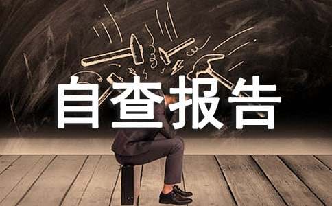 单位资产管理自查报告