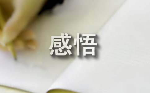 关于人生感悟的文章