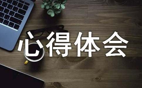 安全驾驶心得体会范文