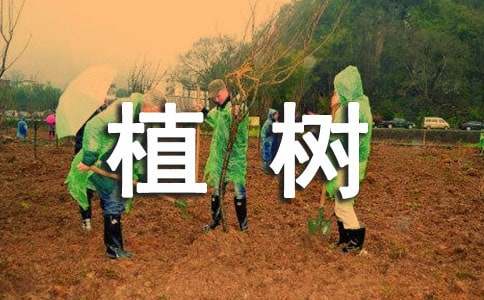 《植树的牧羊人》读后感汇编9篇