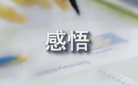 血站个人工作感悟
