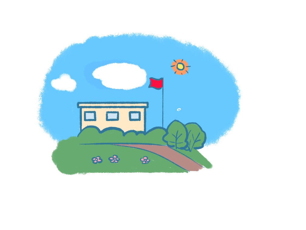 春天室内养什么植物