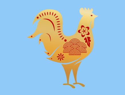 鸡的喂养方法需要注意