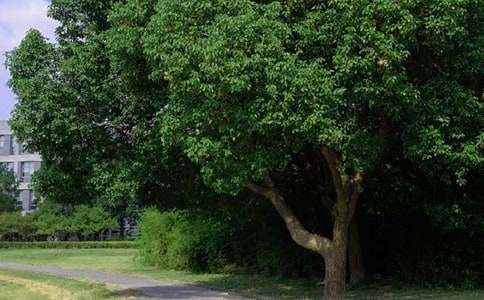 早安心语励志经典语录