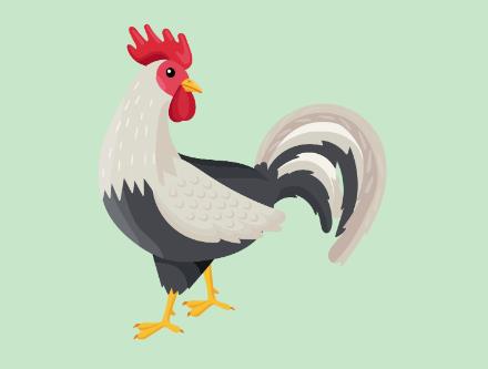 先有鸡还是先有蛋