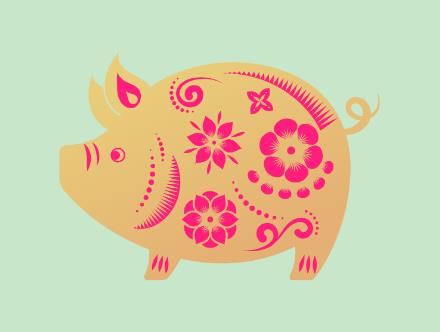 母猪生产前要注意什么