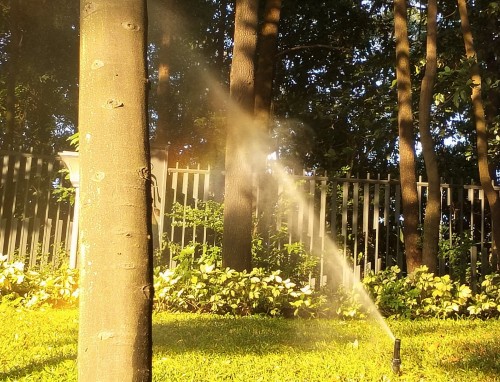 三伏天是四十天吗