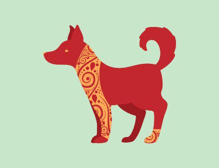 狗喜欢吃屎的原因