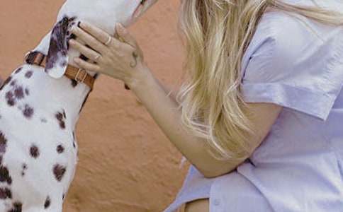 成功女性的励志名言