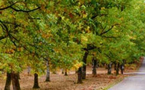 形容风景优美的句子28条