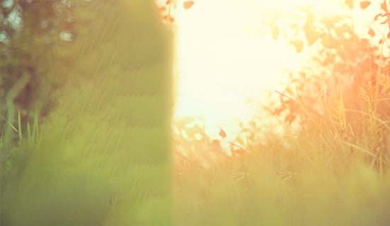 失恋唯美语录句子大全70句精选