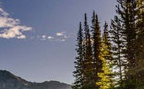 风景优美句子锦集84条