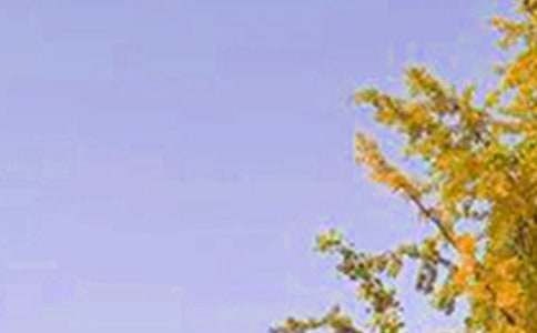 最搞笑幽默的早安句子(精选115句)