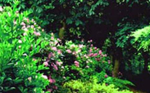 [热门]《巨人的花园》教学反思