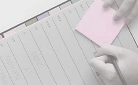 日工作计划表格