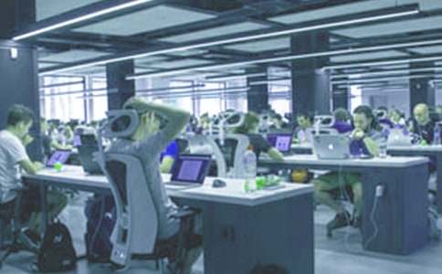 花卉苗木一个生机勃发的朝阳产业_[实习报告]