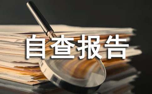 师风自查报告范文