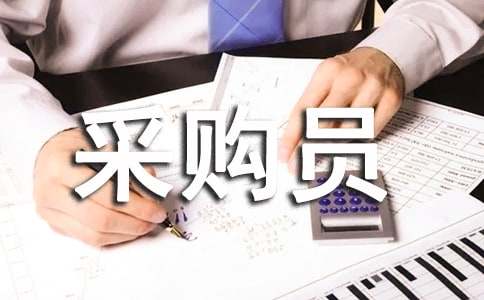 采购员试用期个人工作总结6篇