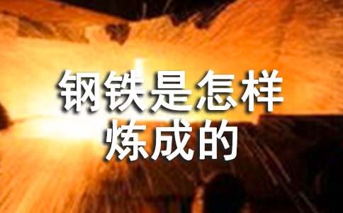 《钢铁是怎样炼成的》心得体会范文