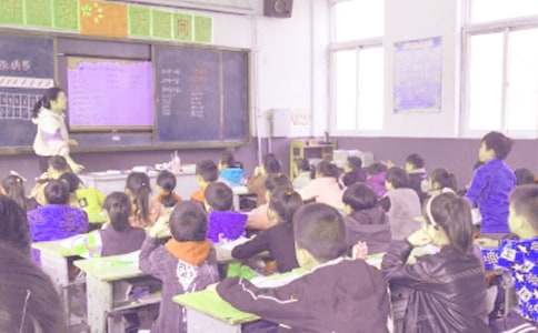 高二第二学期政治教学工作总结