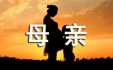 《怀念母亲》说课稿