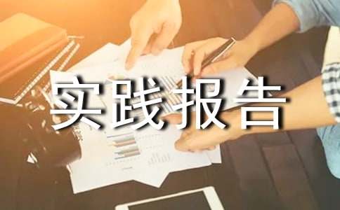 大二寒假社会实践报告(合集5篇)