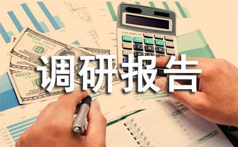 关于市政调研报告（通用20篇）