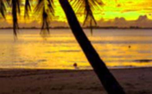 假期个人社会实践报告模板