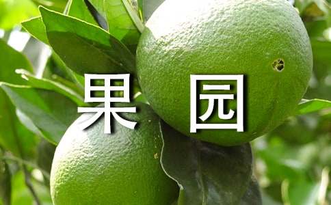 果园承包合同范本