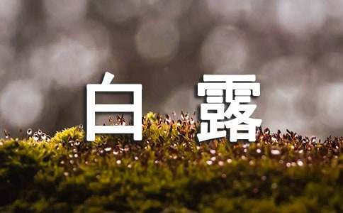 白露节气各地谚语及气候特点