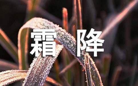 霜降节气谚语