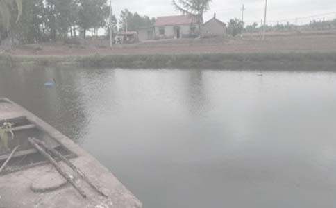 农村鱼塘承包合同