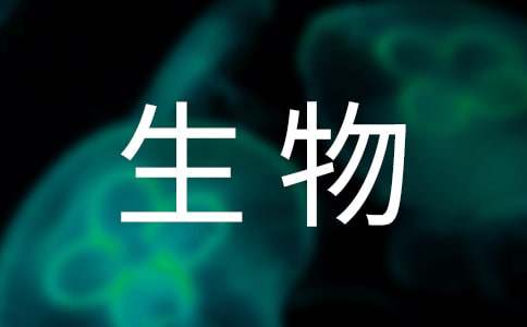 《表里的生物》教案集合10篇