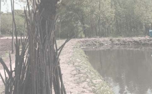 标准鱼塘承包合同范本