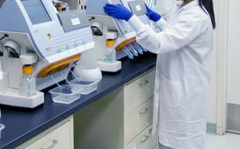 学校学科教研组的工作计划