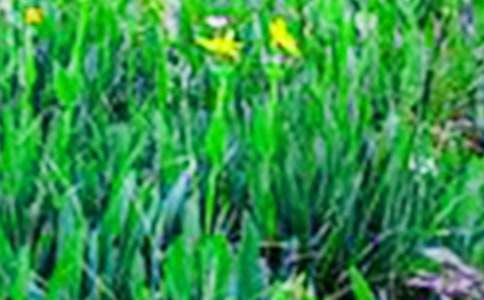 2015年度田野考古工作汇报会