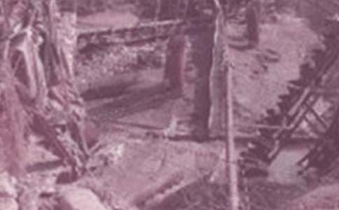 煤和石油 教案(二)