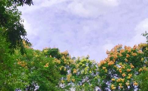 小学生中午就餐协议书