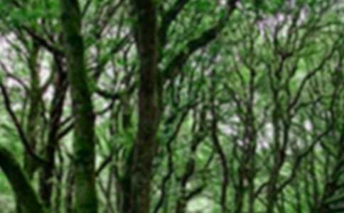 森林防火亮点工作汇报（通用19篇）