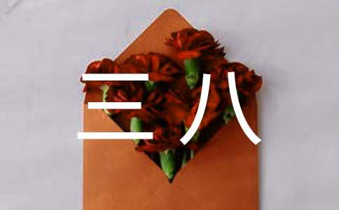 三八的慰问信 14篇