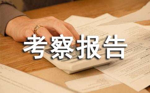 后备干部考察报告