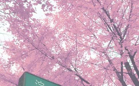 小学秋季学期教务工作总结