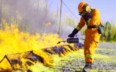 消防安全工作自检自查情况报告(通用16篇)