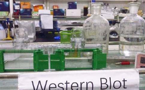 第四节二氧化碳的实验室制法化学教案(通用7篇)